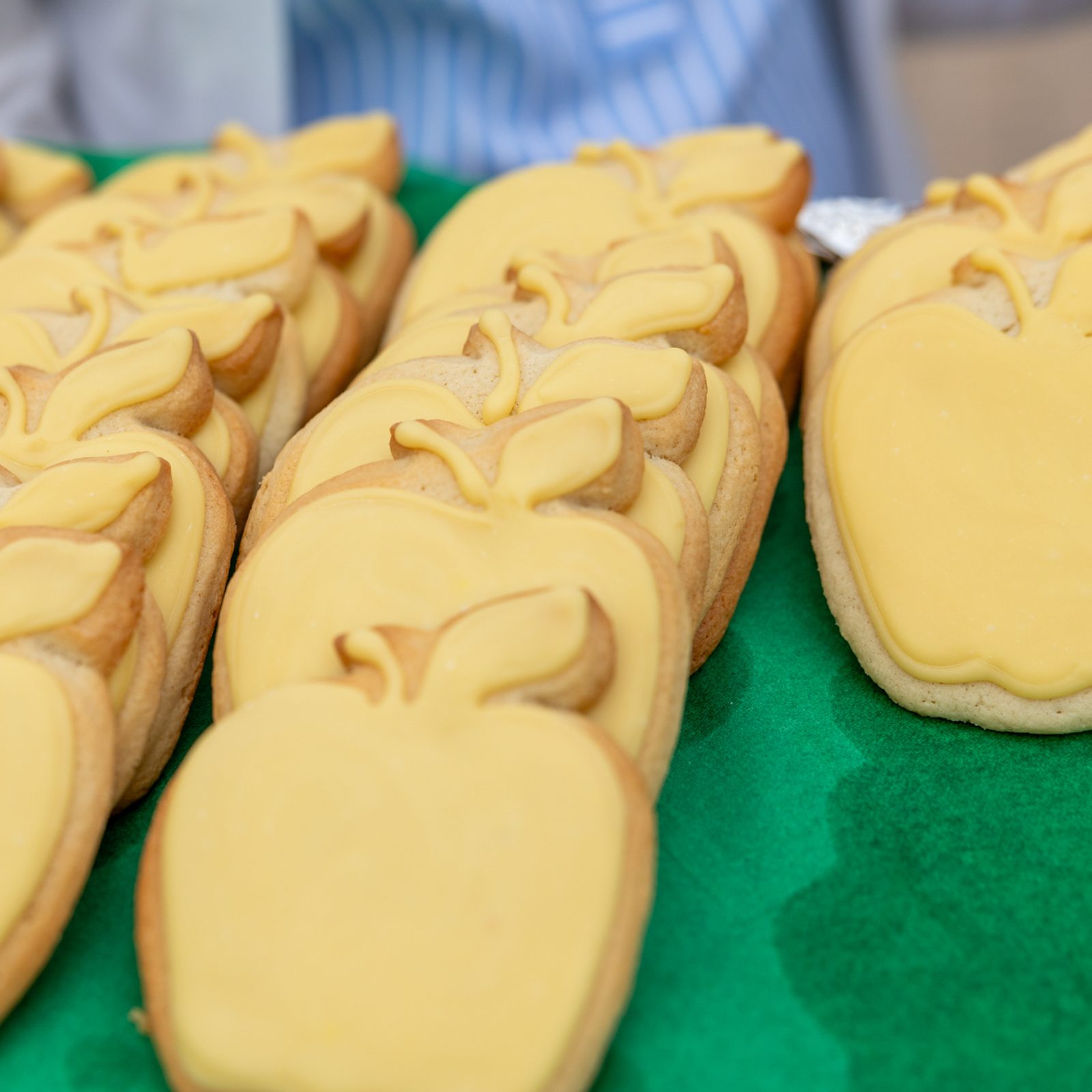 Students, staff and guests received frosted golden apple cookies at St. Raphael School in Rockville after it was announced on April 17 that Michelle Roche, a fourth grade teacher there, is a 2024 Golden Apple Award winning teacher. (Catholic Standard photo by Mihoko Owada)