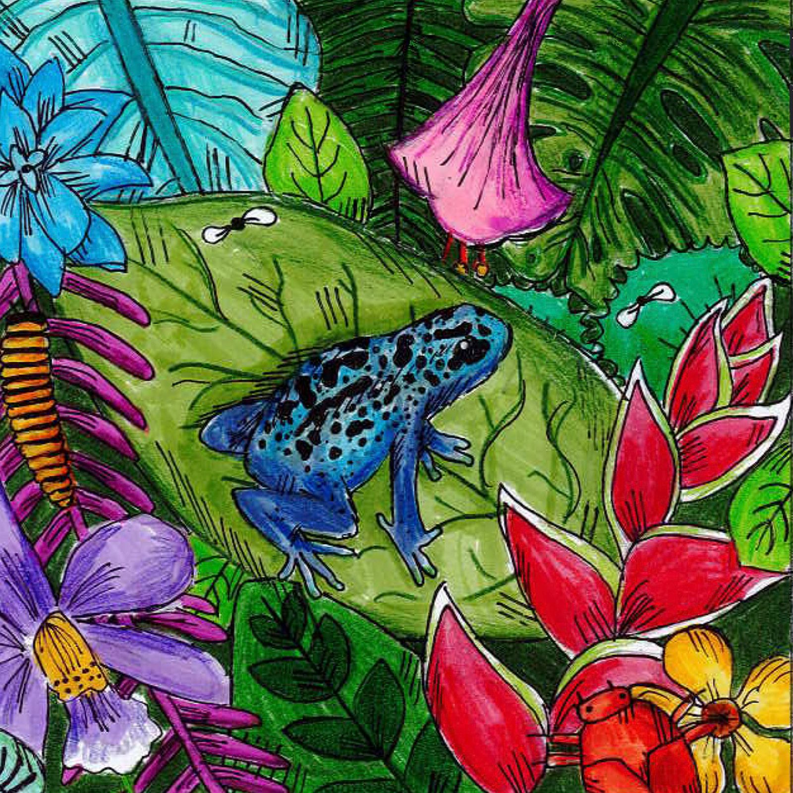 Artwork by Tania Rivera, seventh grade, St. Elizabeth School, Rockville