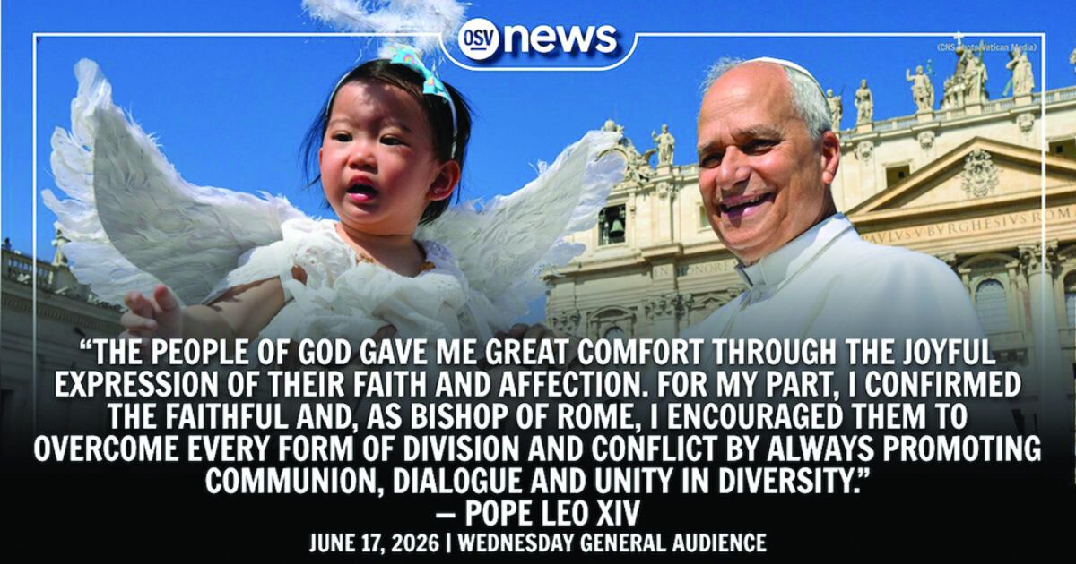Full text of Pope Leo’s June 17 general audience