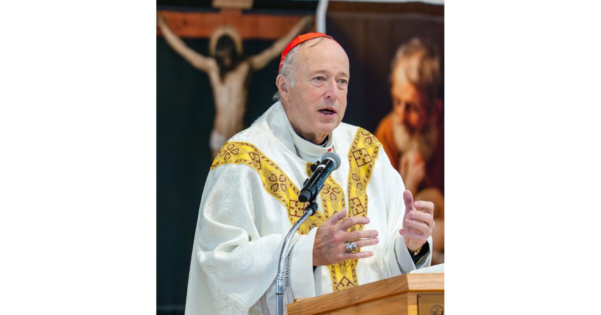 Catholic colleges and universities have key role to play in restoring ‘the order of grace’ to our nation and world, Cardinal McElroy says