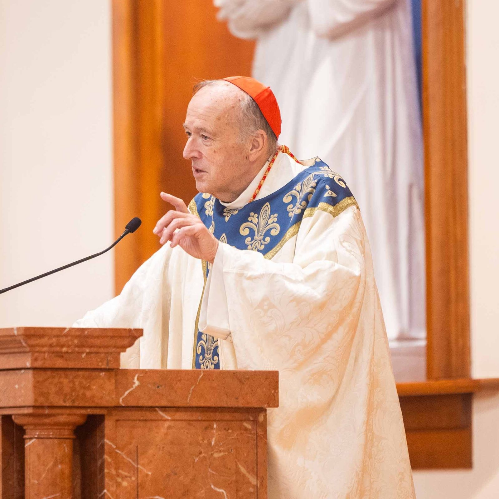Washington Cardinal Robert W. McElroy gives his homily during a Feb. 11 Mass at Our Lady of Lourdes Church in Bethesda that marked the parish’s 100th anniversary. (Catholic Standard photo by Mihoko Owada)