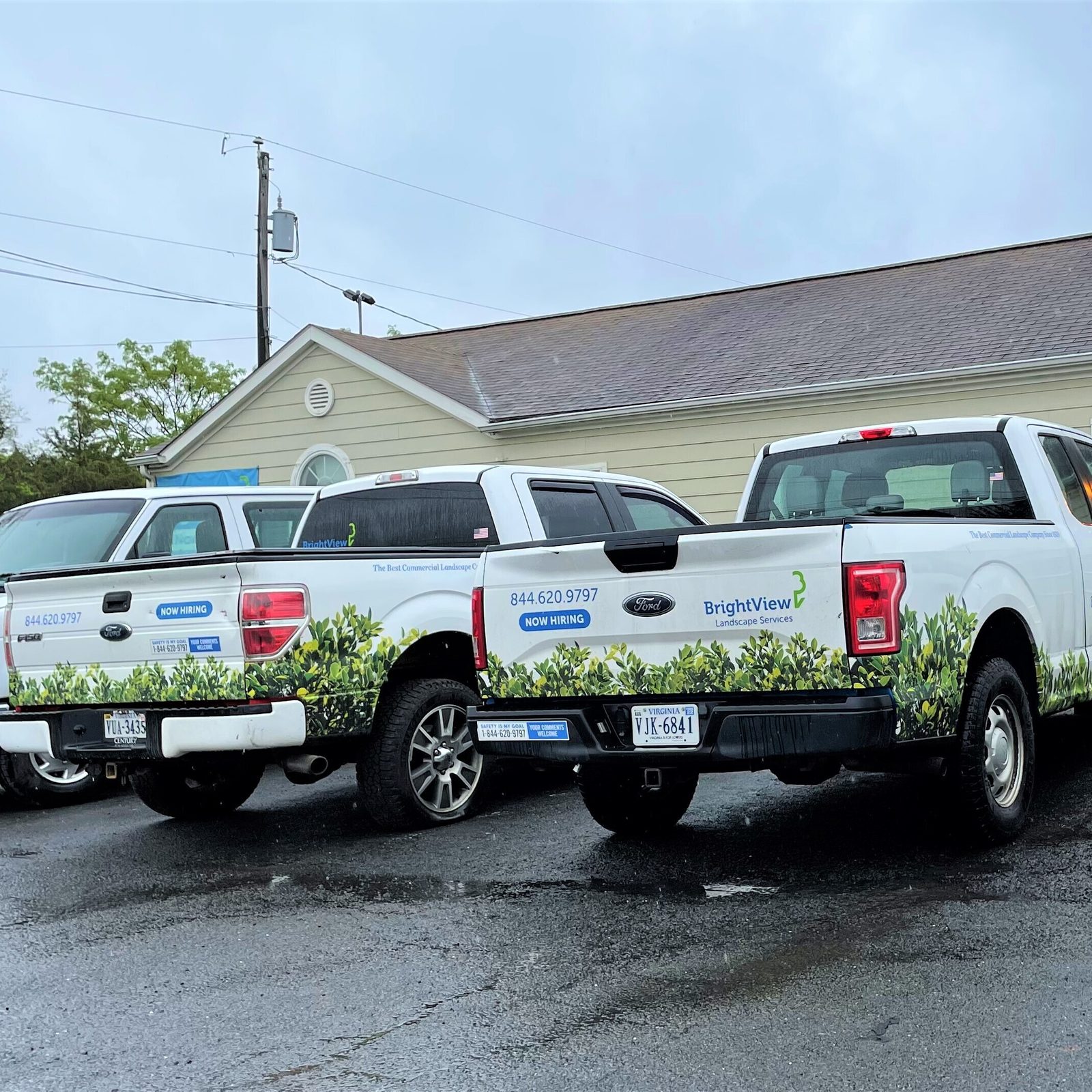 Flota de camionetas de la compañía BrightView que tiene en sus filas decenas de trabajadores hispanos.