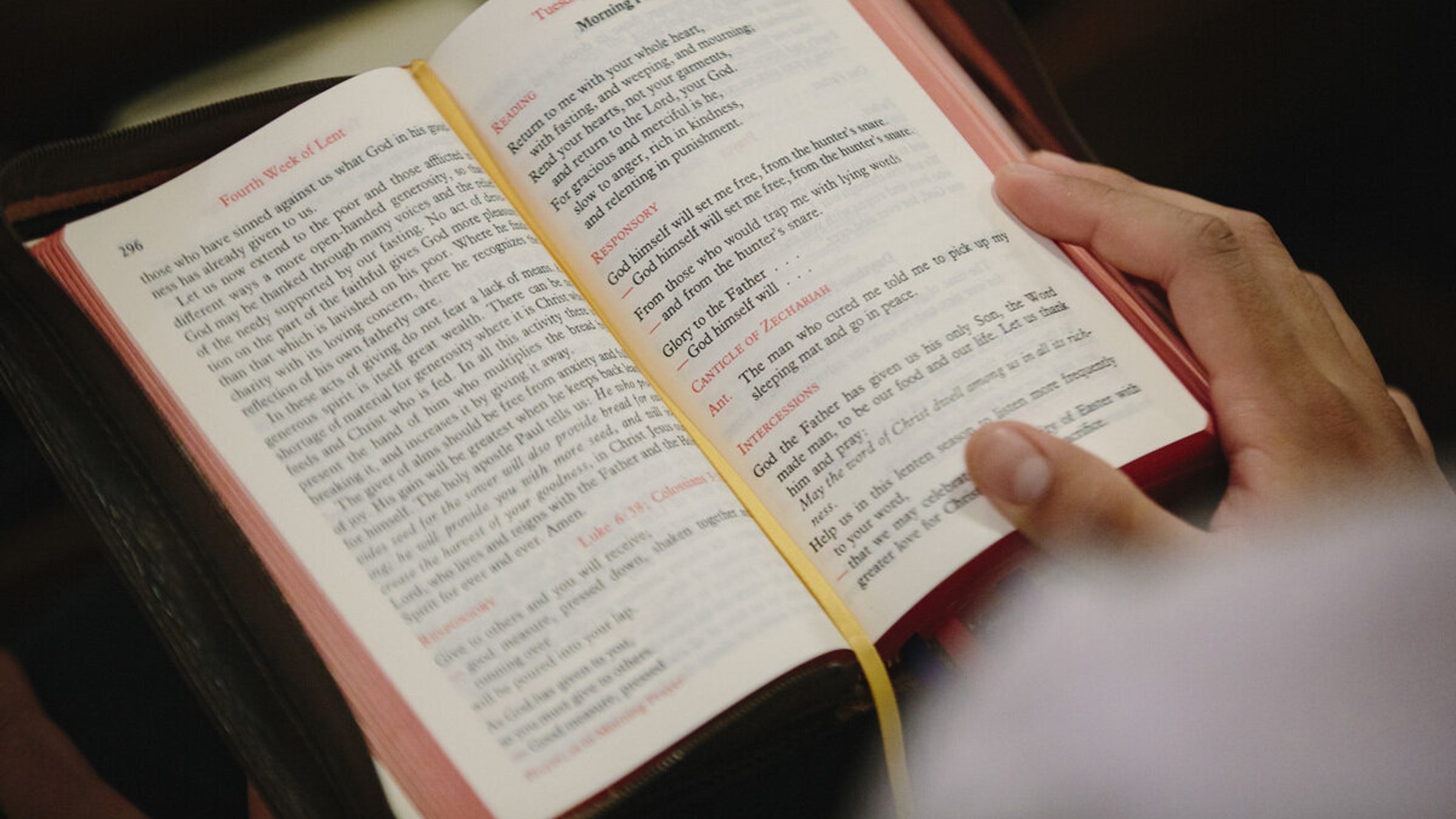 Scripture reflections for Oct. 8, the 27th Sunday in Ordinary Time ...